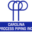 carolinaprocesspiping.com