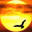 carolmoore.net