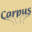 carpus.nl