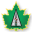 carrierebernier.com