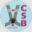 carseatblog.com
