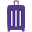 caseluggage.com