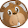 castorus.com