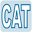 catcomputer.it