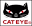 cateyedirect.com
