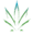 cbdbiocare.com