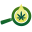 cbdoilreview.org