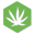cbdoils.ie