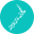 cbg.co.nz