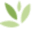 cbgarden.org