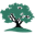 ccalandscape.com