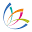 ccam.org.au