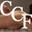 ccfclinic.com