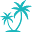 cciguadeloupe.com