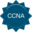 ccnaanswer.com