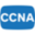 ccnaexamanswers.com