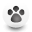 ccspca.com