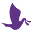 ccusa.org