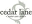 cedarlanecare.com