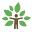 ceflou.org