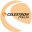 celestron.it
