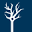 cellsignal.cn