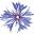 centaurea.ch