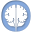 centerforopenneuroscience.org