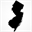 centraljerseyspine.com