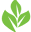 centraltexasgardener.org