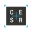 cesr.com