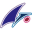 cfnets.co.jp