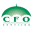 cfoservices.ie