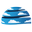 cgskies.com