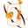 chase.com.pk