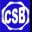 chennaischoolofbanking.com