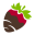 cherrymoonfarms.com