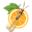 chetspest.com