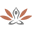 chiangmaiholistic.com