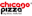 chicagopizza.in