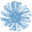 chicory.cz