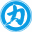 chikarapro.com