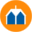 chimeneasmediterranea.com