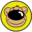 chrisbears.com