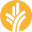christianuniversity.org