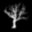 cicada3301.org