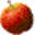 cider.org.uk