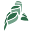 cief.com.do