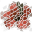 cimage.se