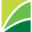 citigreeninc.com